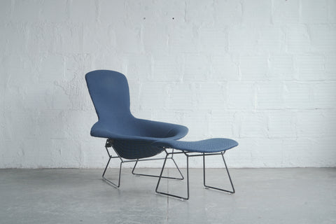 Bertoia Bird Chair and Ottoman