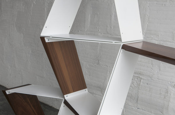 Dule Shelving System