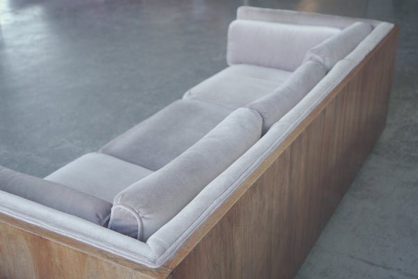 Milo Baughman-Style Case Sofa