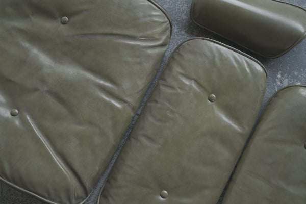 Eames Lounge Chair Arm and Seat Cushions