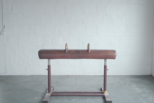 Vintage Pommel Horse