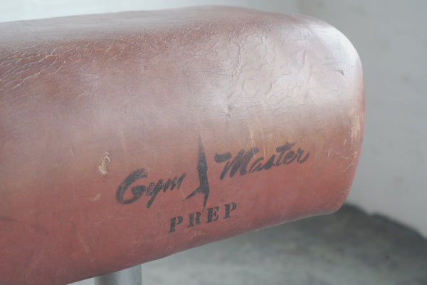 Vintage Pommel Horse