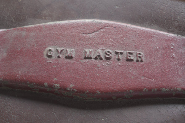 Vintage Pommel Horse