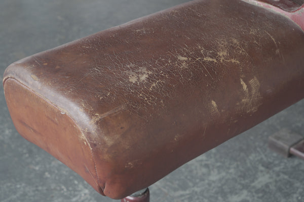 Vintage Pommel Horse