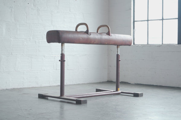 Vintage Pommel Horse