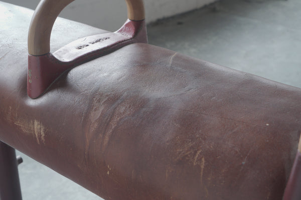 Vintage Pommel Horse