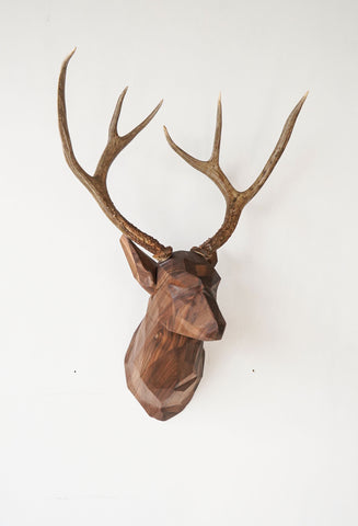 Hardwood Deer Head