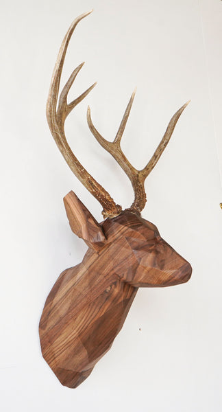 Hardwood Deer Head