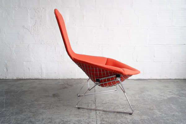 Knoll Bertoia Bird Chair