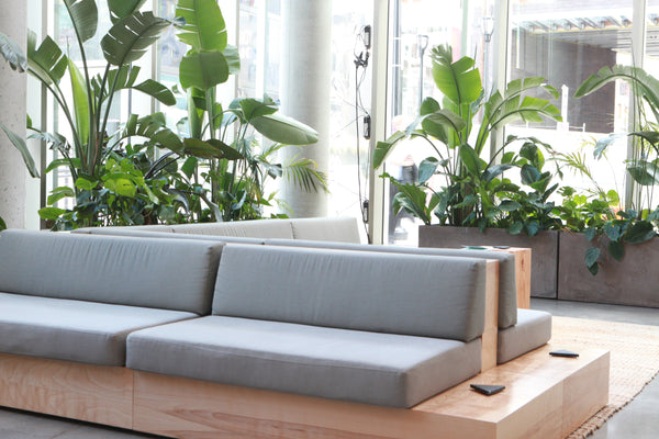 Large Double-Sided Sectional