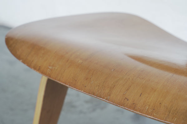 Eames Molded Plywood Chair