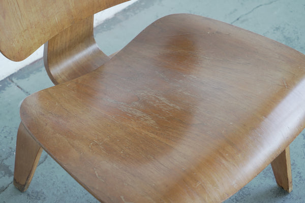 Eames Molded Plywood Chair