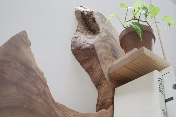 Live Edge Wall Shelf