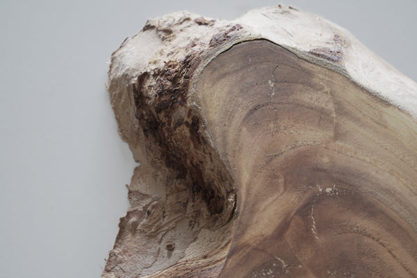 Live Edge Wall Shelf