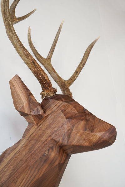 Hardwood Deer Head